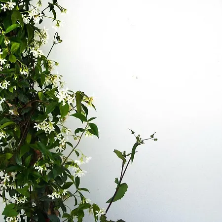 Frühstückspension Residenza Santa Lucia 4*